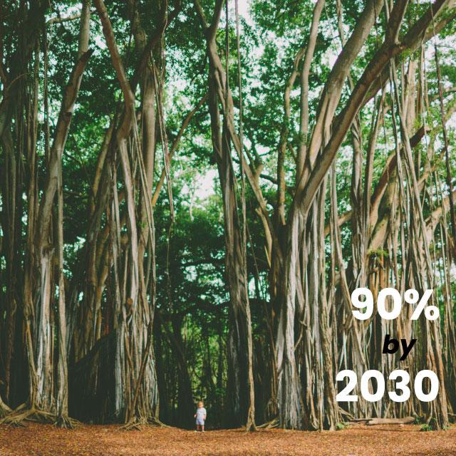 90% by 2030