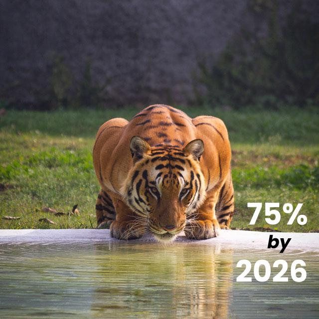 75% by 2026